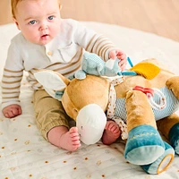 Activity Cuddly Leo 18''