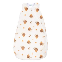 Plush Sleep Bag 0-36 months - Hedgehogs