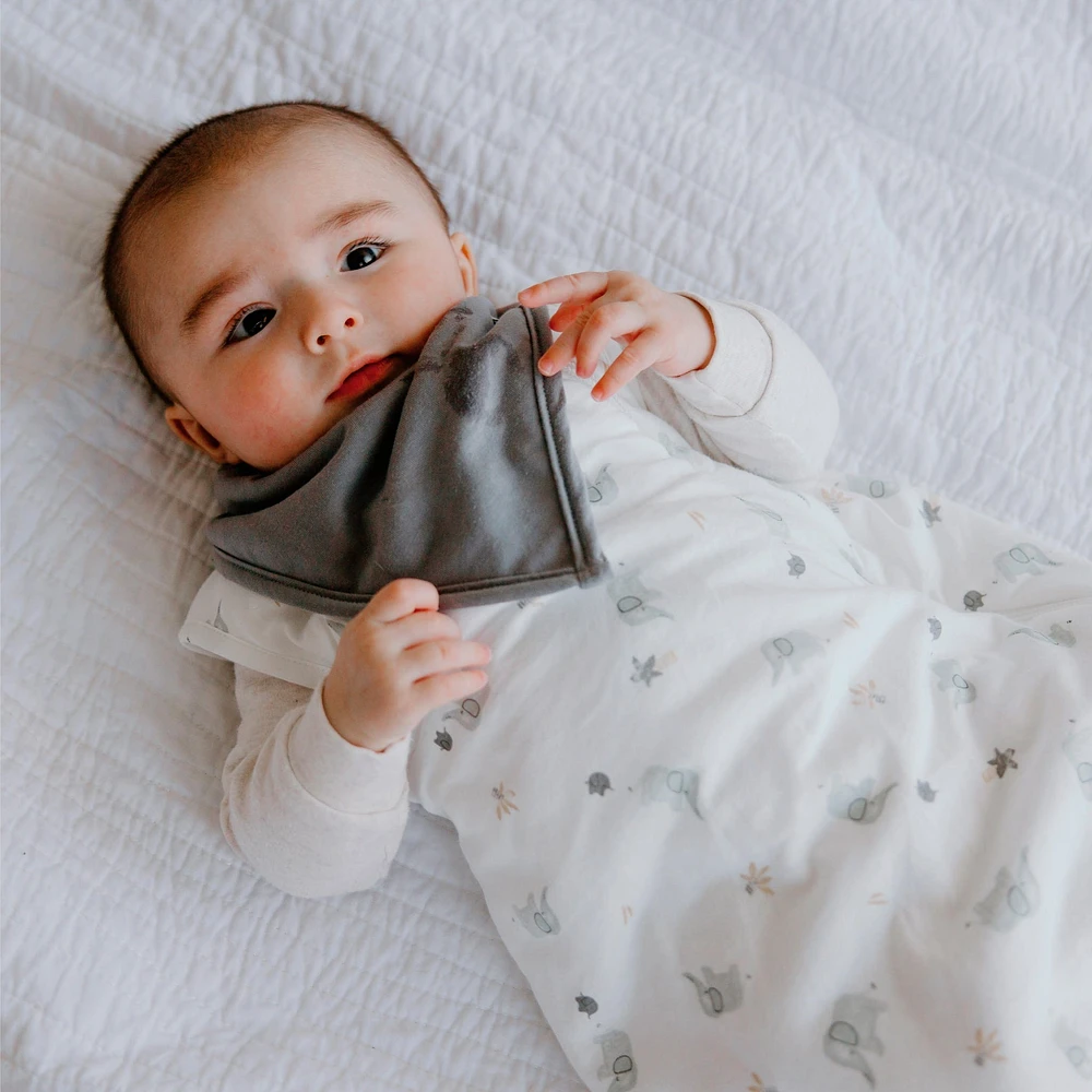 Bibs (3) Bamboo Honey / Foam / Gray