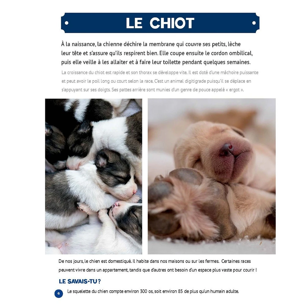 Mon Grand Animalier des Bébés Animaux