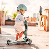 Highwaykick 1 Scooter - Steel