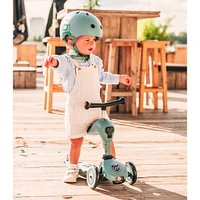 Highwaykick 1 Scooter - Steel
