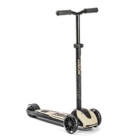 Highwaykick 5 Led Scooter