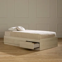 3-Drawer Mates Bed - August Bleached Oak