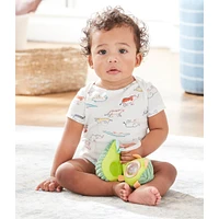 Farmstand Avocado Stroller Toy