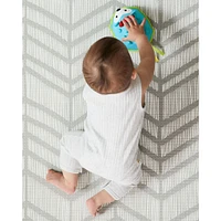 Hedgehog Crawl Toy
