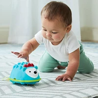 Hedgehog Crawl Toy