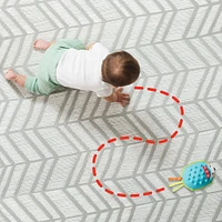 Hedgehog Crawl Toy