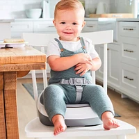 Sleek Seat Booster - Grey / White