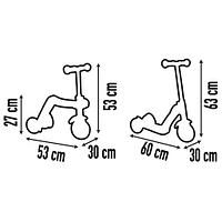 Reversible 2 in 1 Scooter