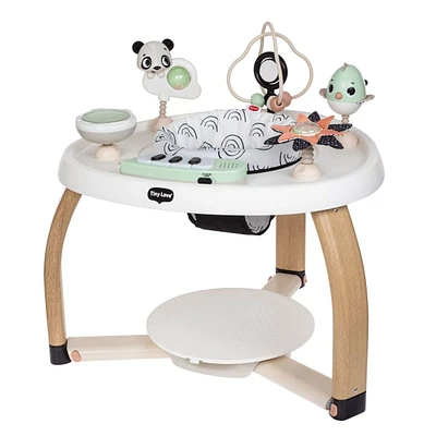 5-in-1 Activity Center - Black & White