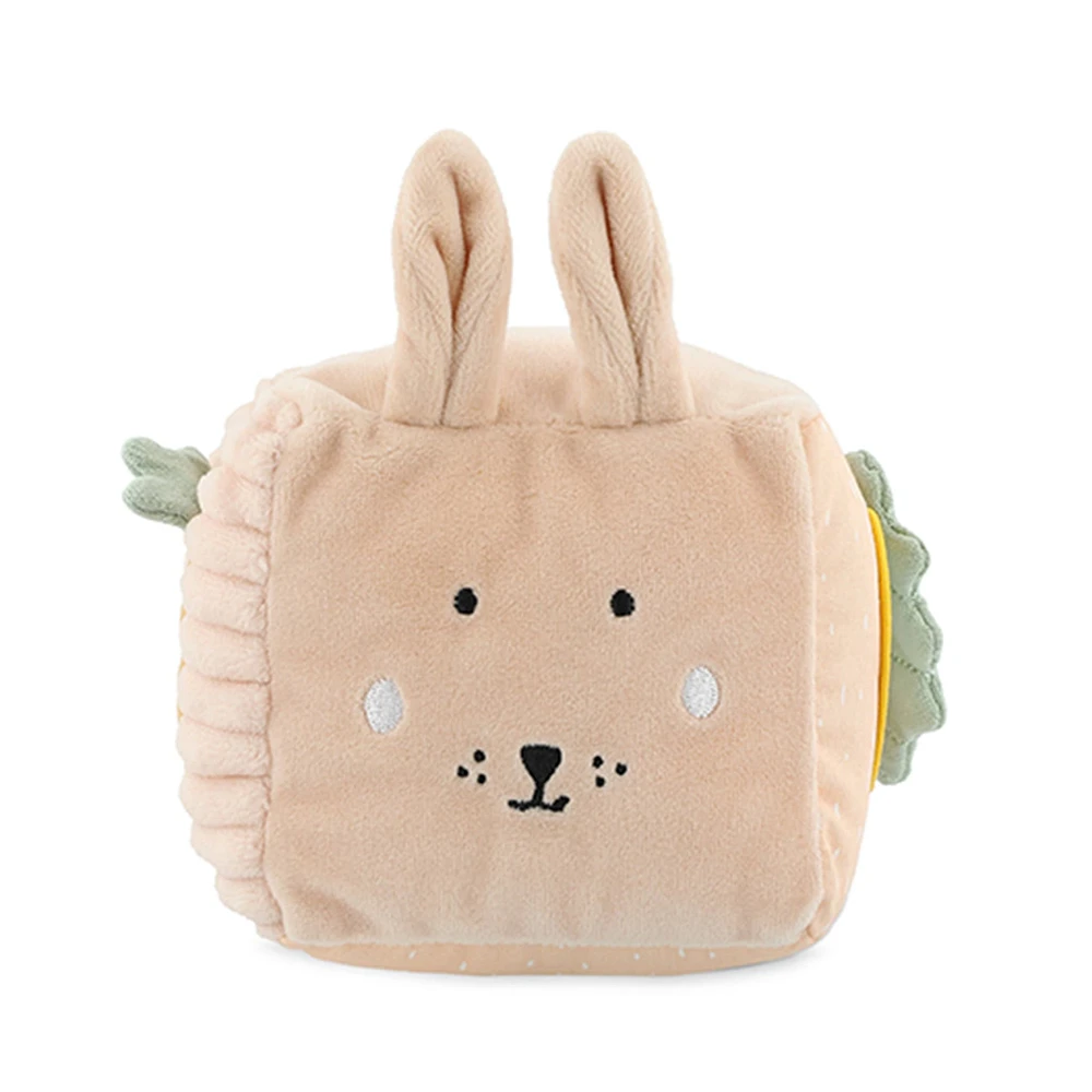 Cube D'activité Mlle Lapin