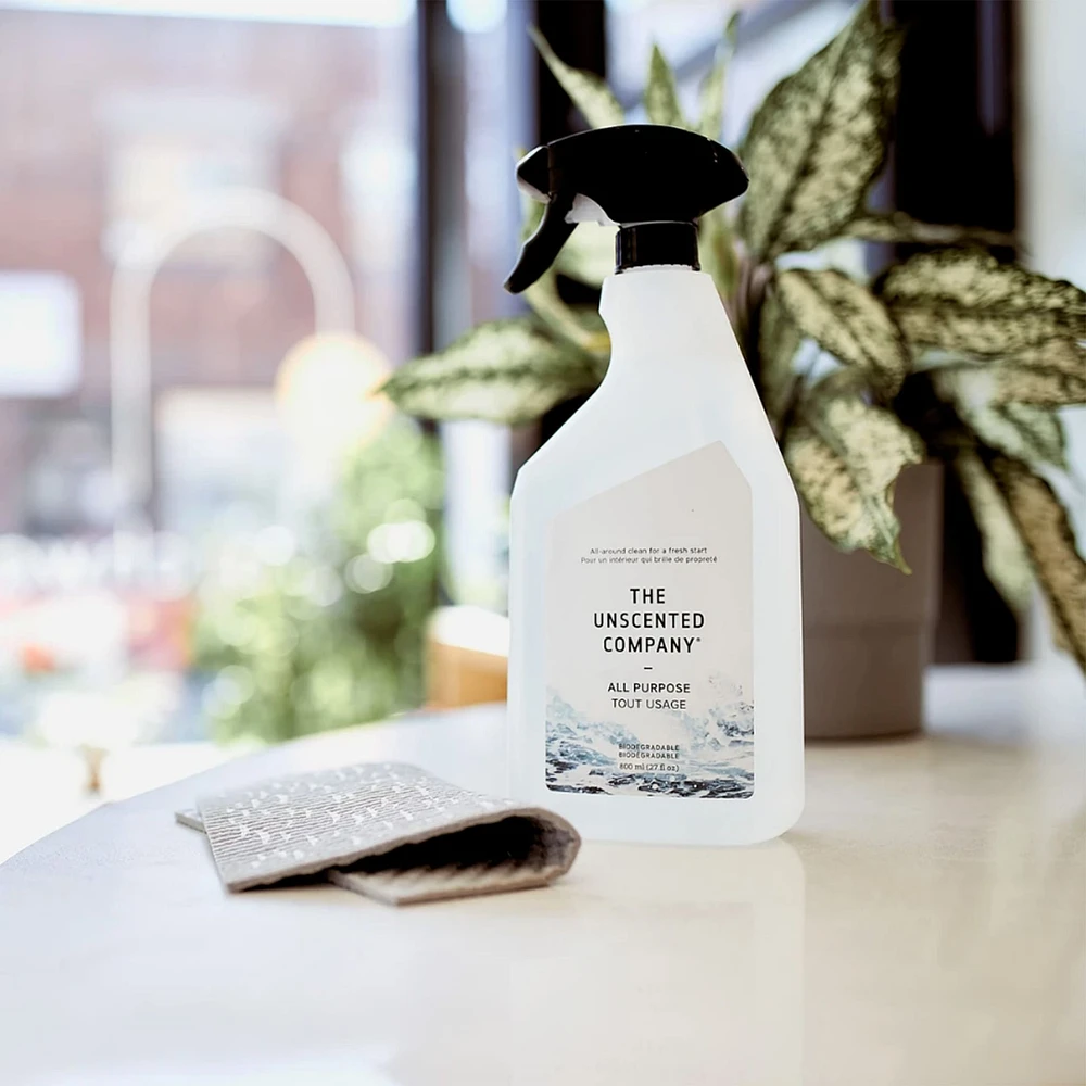 All Purpose Cleaner 800ml
