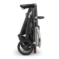 Cruz V2 Stroller - Anthony