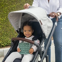 Cruz V2 Stroller - Anthony