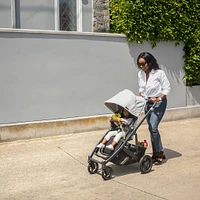 Cruz V2 Stroller - Anthony
