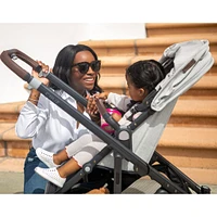Cruz V2 Stroller - Anthony