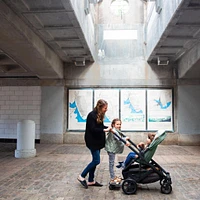 Cruz V2 Stroller