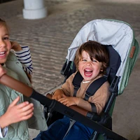 Cruz V2 Stroller
