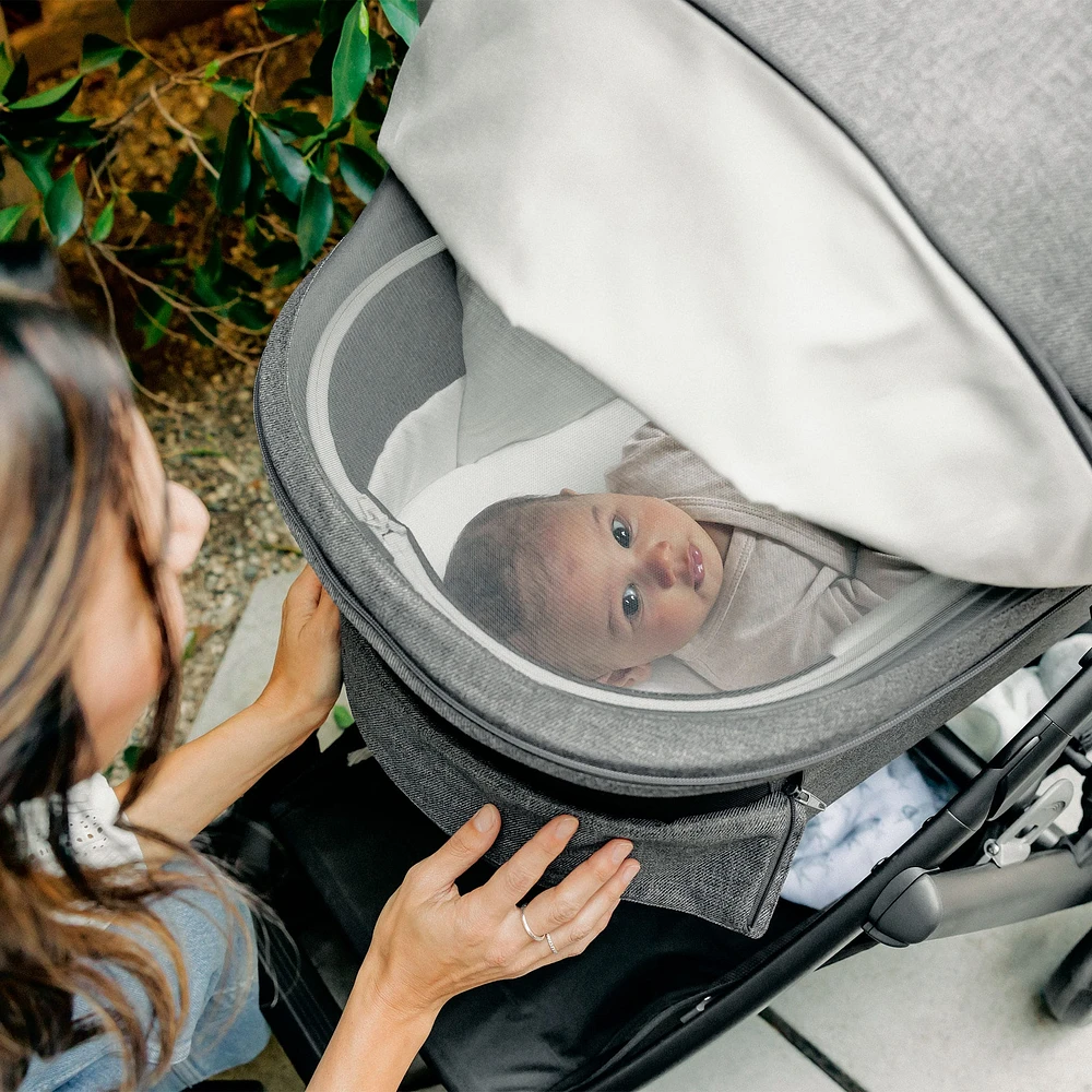 Vista/Cruz V3 Bassinet - Greyson