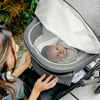 Vista/Cruz V3 Bassinet - Greyson