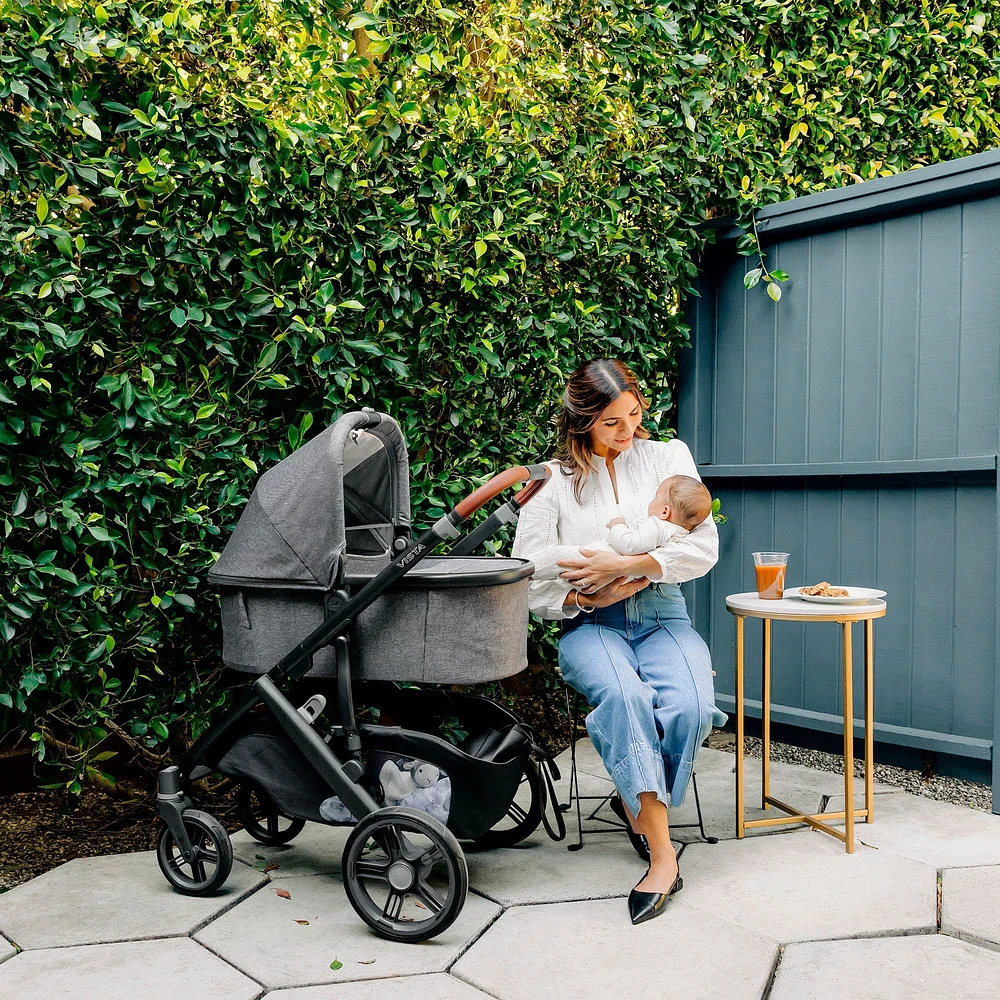 Vista/Cruz V3 Bassinet - Greyson
