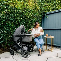 Vista/Cruz V3 Bassinet - Greyson