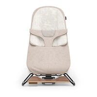 Mira 2 in 1 Bouncer and Seat