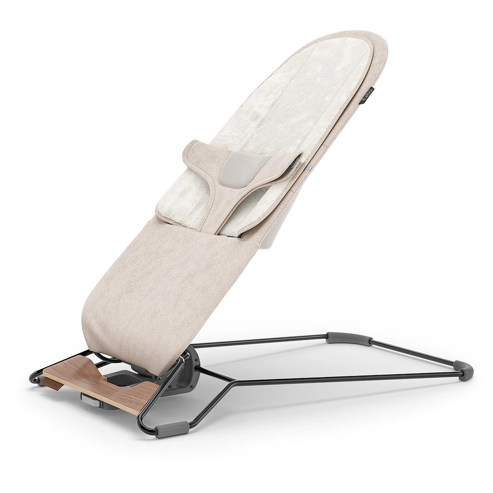 Mira 2 in 1 Bouncer and Seat