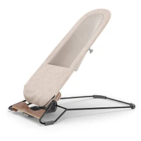 Mira 2 in 1 Bouncer and Seat