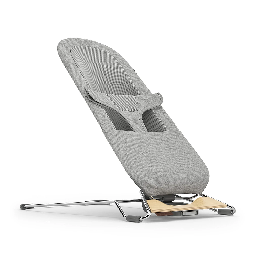 Mira 2 in 1 Bouncer and Seat