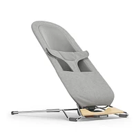 Mira 2 in 1 Bouncer and Seat