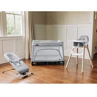 Mira 2 in 1 Bouncer and Seat