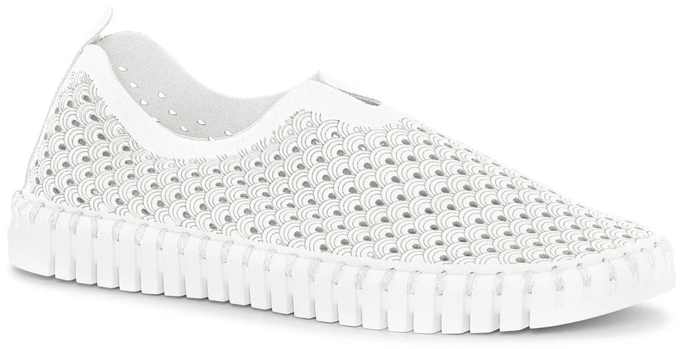 Tulip139 White