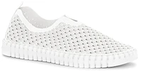 Tulip139 White