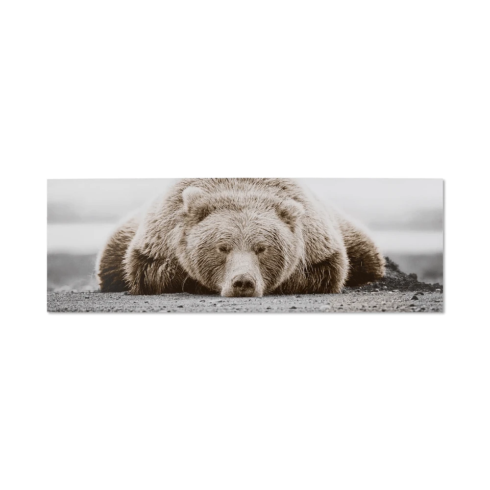 Sleepy Bear Printed Canvas