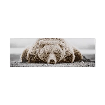 Sleepy Bear Printed Canvas