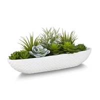 Succulents in Cement Tray