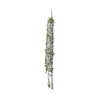 Hanging Eucalyptus