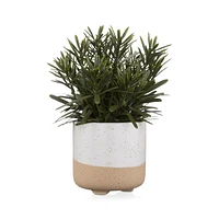 Artificial Plant in Ceramic Pot