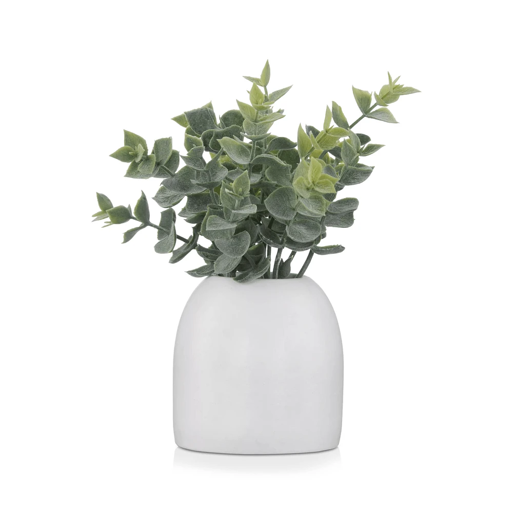 Artificial Eucalyptus in Ceramic Pot
