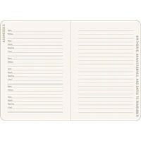 Amethyst Butterflies 2025-2026 Engagement Calendar