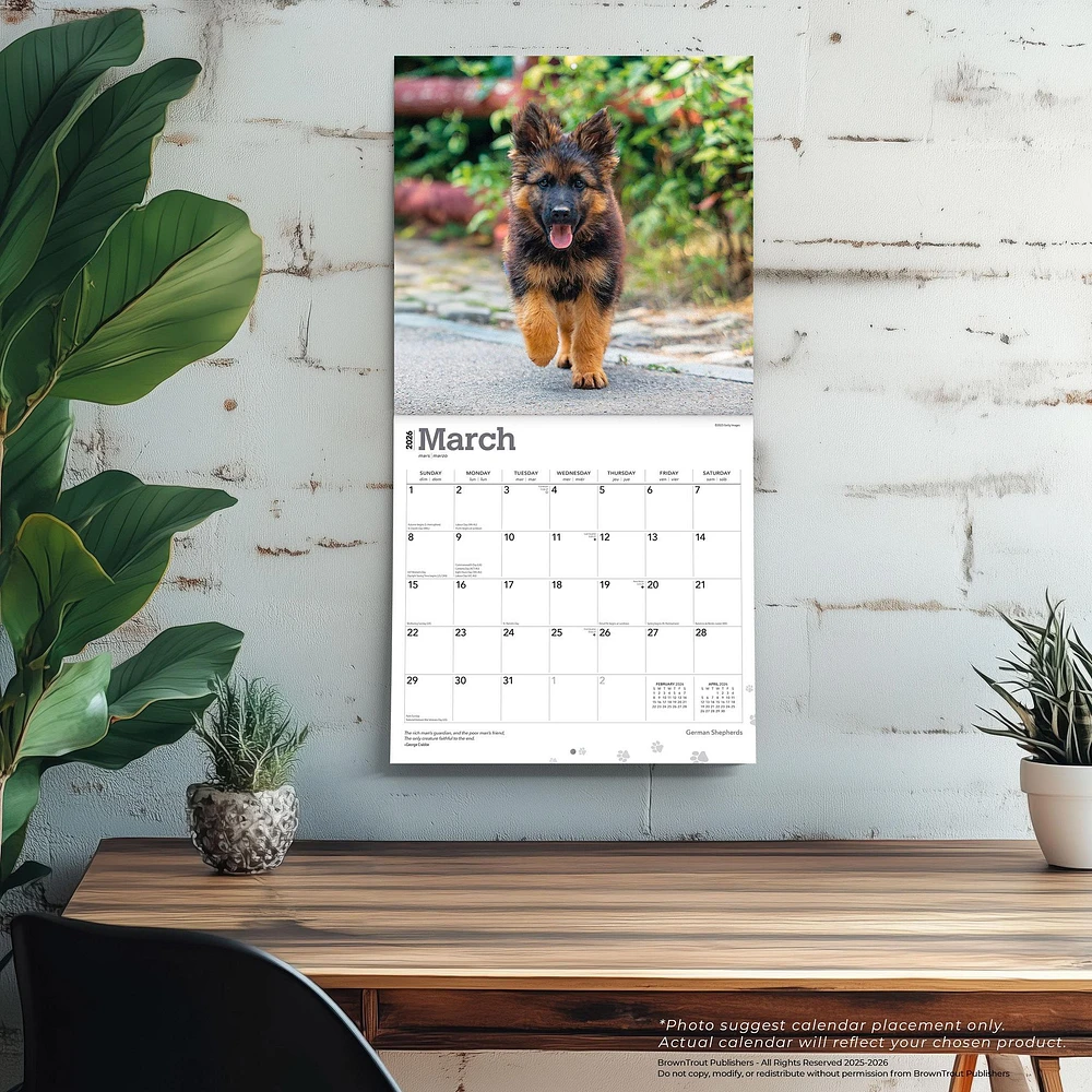 German Shepherds 2026 Wall Calendar - Online Exclusive