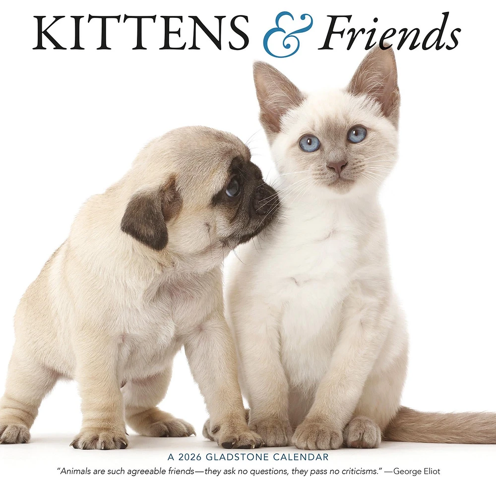Kittens And Friends Wall  2026 Calendar