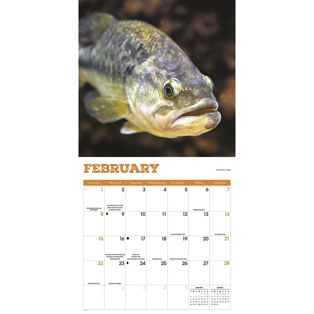 Bass 2026 Wall Calendar