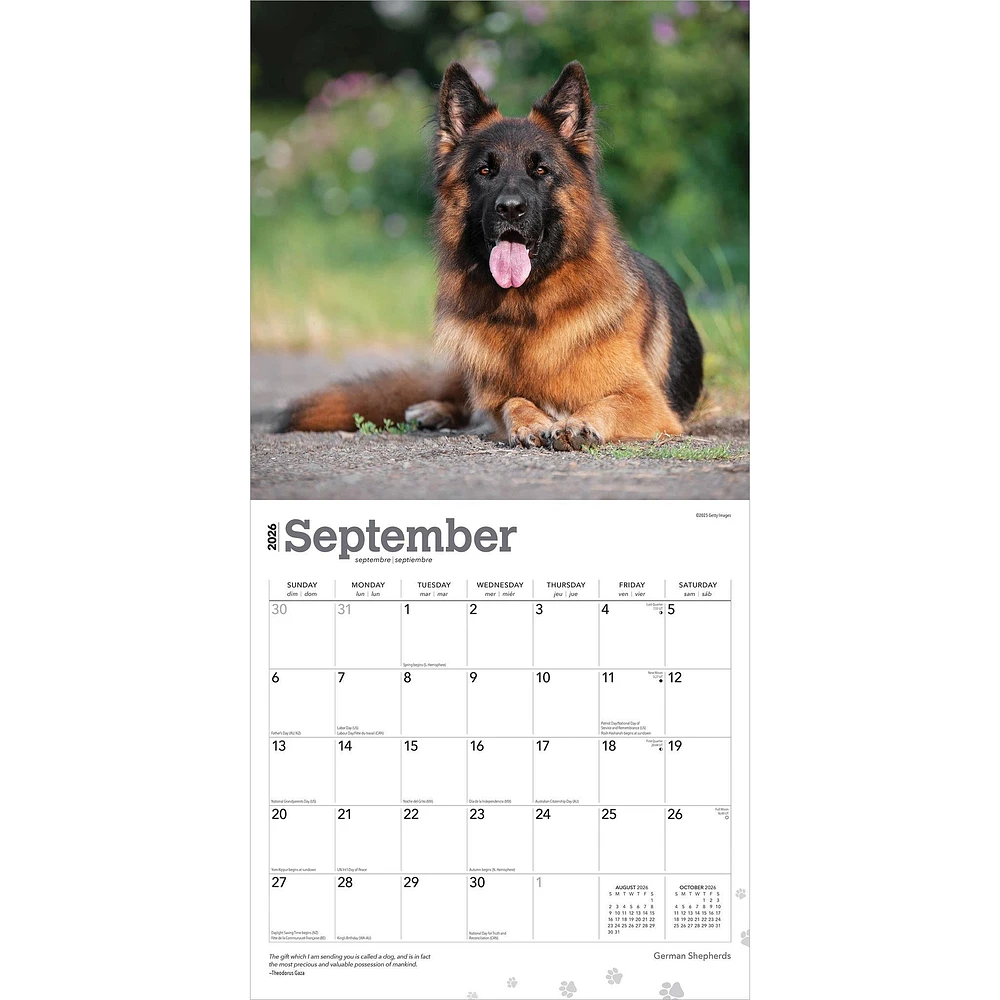 German Shepherds 2026 Wall Calendar - Online Exclusive