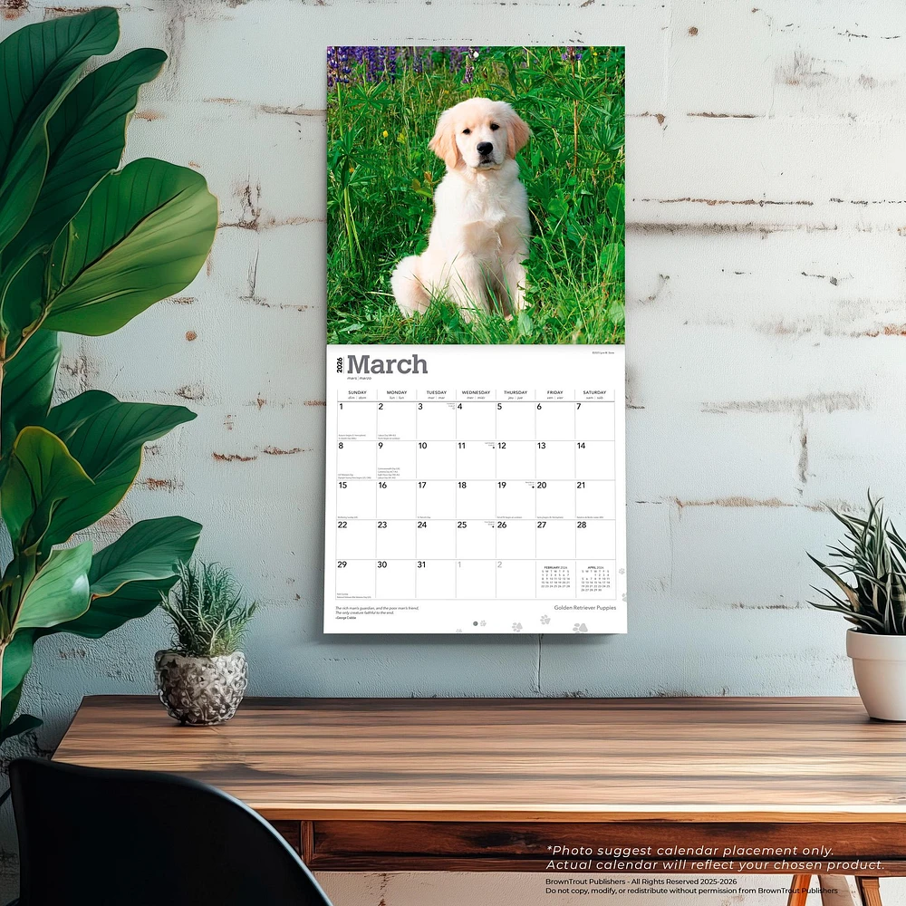 Golden Retriever Puppies 2026 Wall Calendar