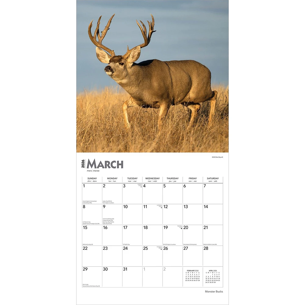 Monster Bucks 2026 Wall Calendar - Online Exclusive