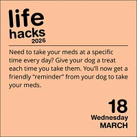 Life Hacks 2026 Box Calendar