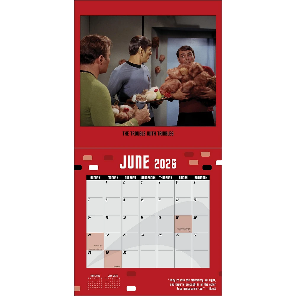 Star Trek Wall  2026 Calendar